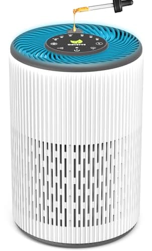 DAYETTE Portable Luftreiniger Allergiker mit Aroma, Nachtlicht, Timer, Ruhemodus (20 dB), HEPA Luftfilter gegen Schimmel, Staub, Pollen, Gerüche, Tierhaaren, Air Purifier
