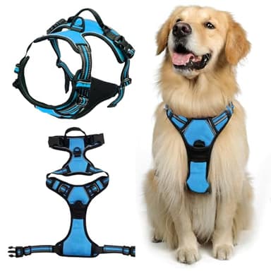 DKDDSSS Hundegeschirr, Geschirr Hund, Hundegeschirr Mittelgroße Hunde, Anti Zug Hundegeschirrr, Geschirr für Hunde, Brustgeschirr für Labrador, Einfache Anpassung und Benutzung, Atmungsaktiv (Blau M)