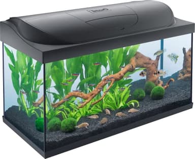 Tetra Starter Line 105 L Aquarium Komplett-Set - inkl. Tag- & Nachtlicht LED-Beleuchtung, Innenfilter, Heizer, Fischfutter und Wasseraufbereiter