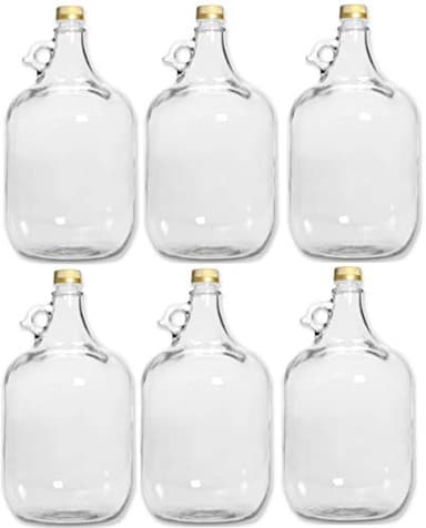 lilawelt24 6 x 5L GLASBALLON Weinballon GÄRBALLON GLASFLASCHE Flasche Gallone Leere Glasflasche zum Befüllen