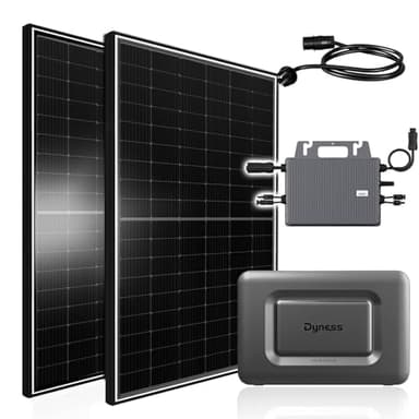 Balkonkraftwerk 1170W mit Speicher Dyness Junior Box 1600Wh, 800W TSUN Micro Wechselrichter, 2x450W Bifaziale Solarmodule, Solaranlage mit Stromspeicher Photovoltaik PV Anlage für Haus Balkon