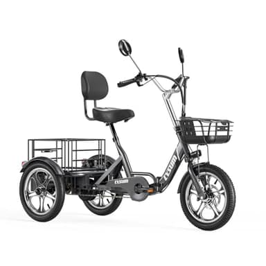 Sinaopus T1 pro E Bike Dreirad, 16'' Dreirad für Erwachsene Mit 48V 22AH Akku & 250W Motor Elektrofahrrad, LCD-Display, Geschwindigkeit 25 KM/H, 180 KM Reichweite, Elektro Dreirad Mit GroßEn KöRben