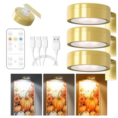 Winwj 3 Stück Bildbeleuchtung Kabellos, Aufladbar Bilderleuchte Kabellos mit Fernbedienung, Bild Licht mit 3 Lichtfarben, Dimmbar, Magnetisches LED Malerei Licht für Bilderrahmen, Wand, Regal, Bilder